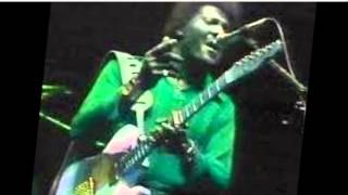 Watch Albert Collins The Hawk video