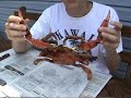 Crab