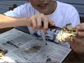 Crab