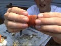 Crab