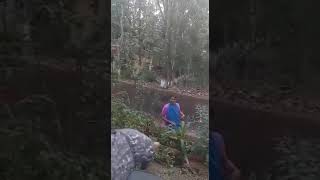 മലയള ആനറയട കടടലറകകനന തറവള