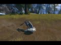 Testing my 1st mount in Star Wars : The Old Republic MMORPG