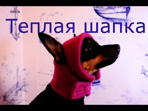 Мастер класс комбинезон для той терьера Мастер класс комбинезон для той терьера