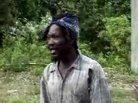 filmed in snow hill portland jamaica. jah seen is telling us about a friend who want to climb a breadfruit tree to get some breadfruit. the bredren was