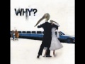 WHY? - Sod in the Seed (NEW SINGLE 2012)