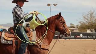 Deacon Moe Consigned To The Rancho Rio Horse Sale Spring Clic