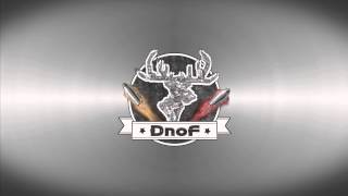 Интро И Логотип На Заказ Для Dnof