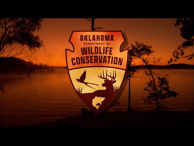 Watch WE ARE your Oklahoma Department of Wildlife Conservation on YouTube.