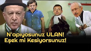 Bay Kemal Eşek Traş Ediyor Komik Montaj Erdoğan & Kılıçdaroğlu Komik  Kemal Suna
