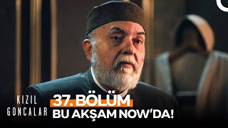 Kızıl Goncalar 37. Bölümüyle Bu Akşam Nowda