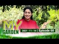 My Garden 14-11-2021