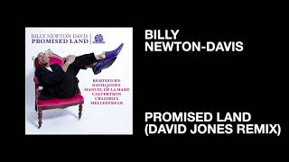 Billy Newton-Davis / Promised Land (David Jones Remix)
