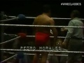WWWF