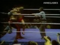 WWWF