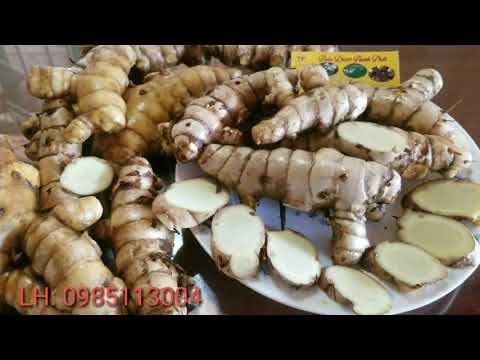 Công dụng tuyệt vời của nghệ trắng mà ít ai biết đến