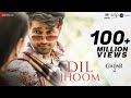 Dil Jhoom || MP3 Hit Hindi Song ✨🌹