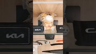 Kia Geniune Accessories Display At Frontier Kia Delhi Showroom