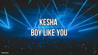 Watch Kesha Boy Like You video