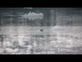 Icy Bay Camping How to
