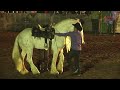 El Puma De Sinaloa