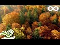 Beautiful Relaxing Music - Calming Piano & Guitar Music by Soothing Relaxation