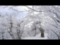 Vivaldi - The Four Seasons "Winter" / Le Quattro Stagioni "L'inverno" (Il Giardino Armonico)