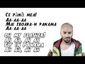 Matteo Panama   Lyrics Video  Romanian   English