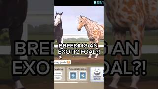 Breeding An Exotic Foal? Rival Stars Horse Racing Exotic Gene Event