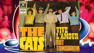 Watch Cats But Tomorrow video