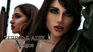 Zerrid & Adik - Amigos (Remix)