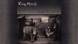 Watch King Missile The Way To Salvation video