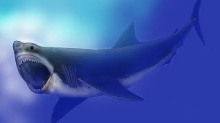 Doentaire Hd 2024 Mégalodon, Le Requin Géant