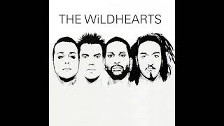 Watch Wildhearts Shes All That video