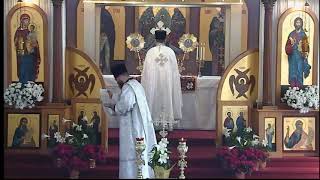 Divine liturgy April 18, 2021