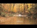 30min. Autumn Rain - "Relaxation Series"