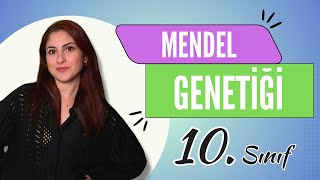 8) MENDEL GENETİĞİ - KALITIM 1 | 10. SINIF | TYT BİYOLOJİ DERS NOTLARI | 2024