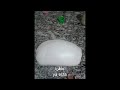 السيراميك