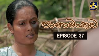Panamankada Episode 37 