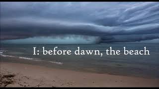 Three Scenes from Sleeping Bear: I. before dawn, the beach