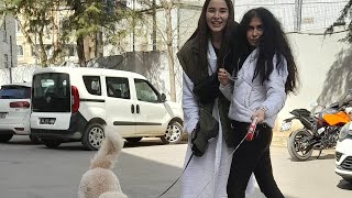 2 Terakki̇li̇leri̇n Oyu Sandikta Çi̇ğdem Yorgancioğlu Feyza Sevi̇l Güngör