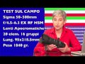 Test Sigma 50-500mm F4.5-6.3 EX APO RF DG HSM_ Canon experience_Video7.divx