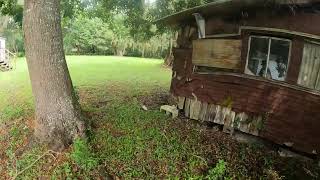 Barberville Field Hike & Indian Pottery Fragments