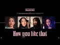 (BLACKPINK 블랙핑크) - ‘HOW YOU LIKE THAT’ DANCE COVER 댄스커버...