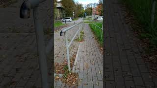 Листья Жёлтые Над Городом Кружатся, 13 Сентября, 2025 Усолье-Сибирское