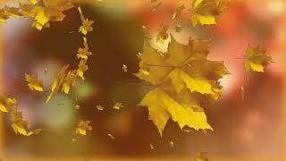 Осенний Футаж - Autumn Footage
