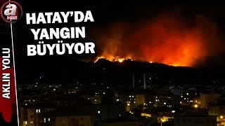Hatay Dörtyolda Orman Yangını Yangına Müdahale Sürüyor A Haber