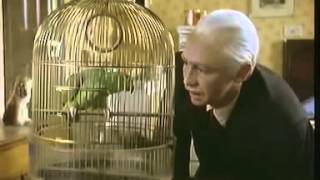 The Fast Show Unlucky Alf Parrot Sketch