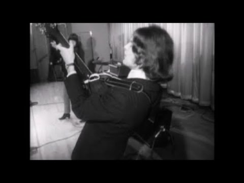 The Kinks - You really got me (1965)