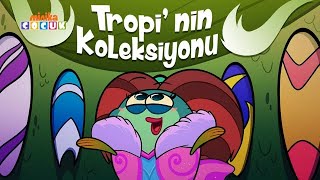 Maceracı Yüzgeçler Tropi Ve Koleksiyonu