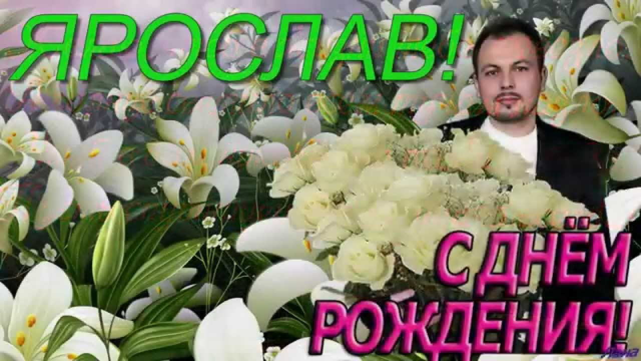 Ярослав сумишевский поздравления с днем рождения Ярослав сумишевский поздравления с днем рождения